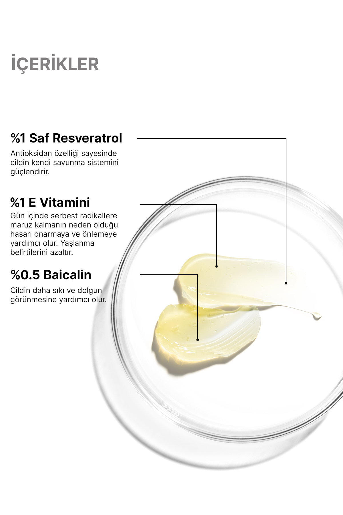 SKINCEUTICALS Resveratrol B E - Görsel 2